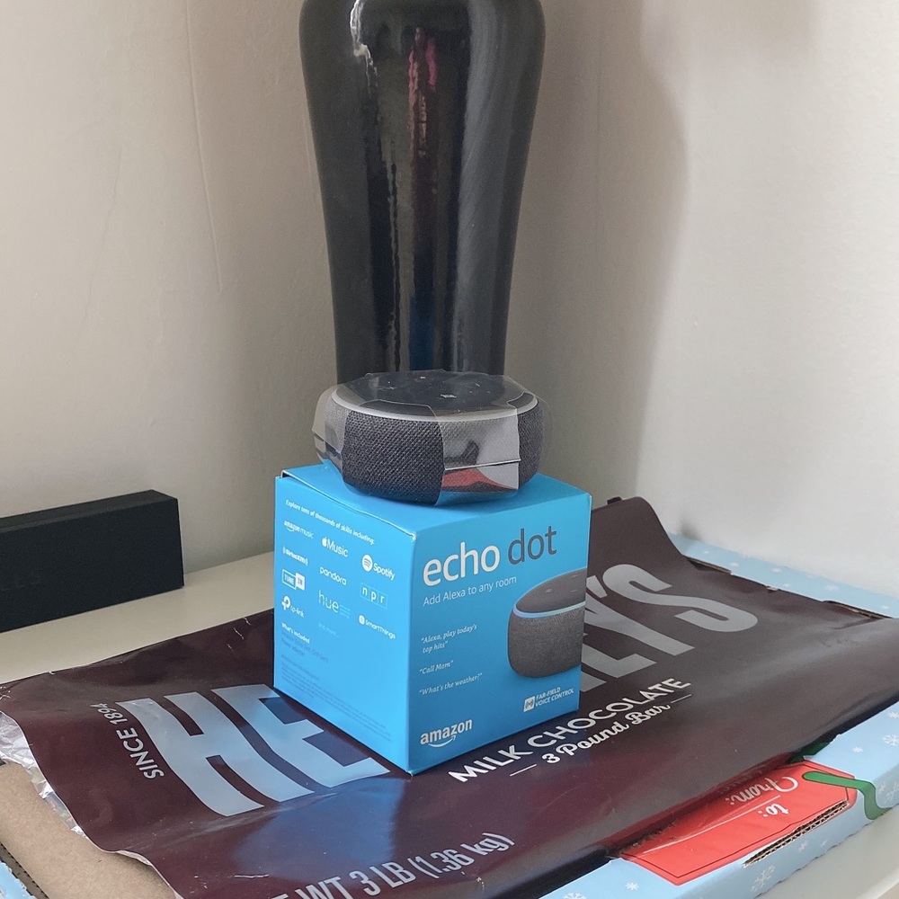 Echo Alexa
